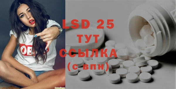 ПСИЛОЦИБИНОВЫЕ ГРИБЫ Верхний Тагил